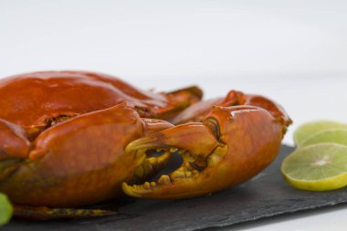 Pişmiş çamur yengeci, kırmızı renkte bir arduaz üzerine dizilmiş ve limon dilimleri ve beyaz desenli arka planda taze nane yaprağı ile süslenmiş, izole edilmiş..