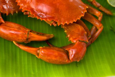 Pişmiş çamur yengeci, taze yeşil bir muz yaprağına yerleştirilmiş, yanına yemek malzemeleri yerleştirilmiş, beyaz desenli arka planda, seçici bir odak.