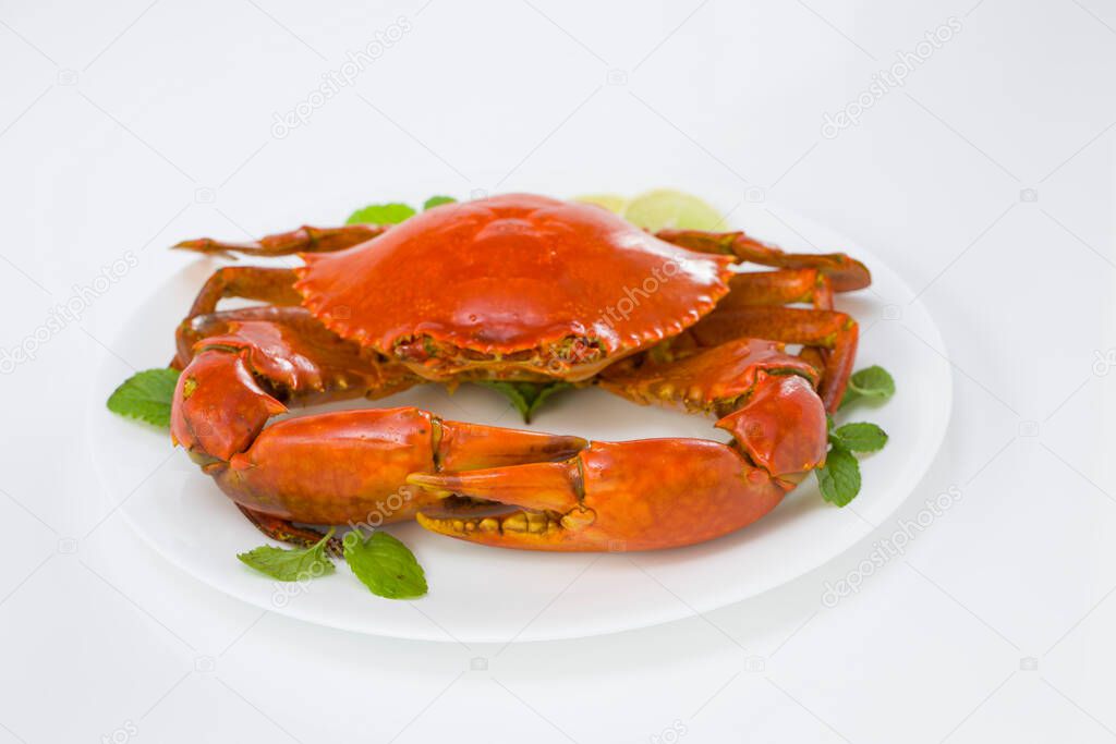 Cooked mud crab, arranged on a white round ceramic plate with white  textured background and garnished with lemon slices and mint leaf ,top view,isolated.