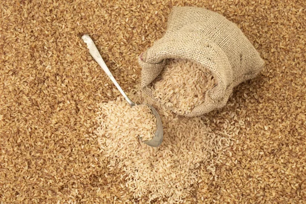 Kerala Matta Rice _Parboiled Rice Palakadan Matta Rice Arranged Spoon — Stock Photo, Image