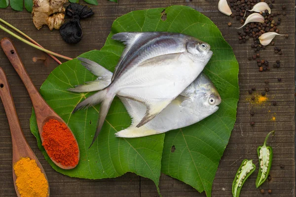 Pomfrot Blanco Crudo Arreglado Hojas Mecaranga Peltata Con Fondo Madera — Foto de Stock