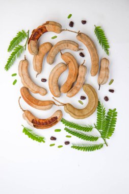 Taze yeşil yaprağıyla beyaz desenli bir arka planda düzenlenmiş lifli bir hamurla çevrili tohumlarla dolu demirhindi _ fasulye gibi tohumlar..