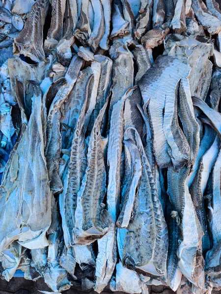Dried Fish or dried whiprey fish steaks  arranged in the market for selling.