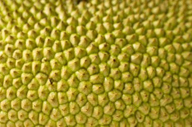 Gri ve beyaz desenli arka planda güzel bir şekilde düzenlenmiş, izole edilmiş bir meyve..