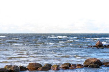 Letonya 'da Vahşi Baltık Denizi