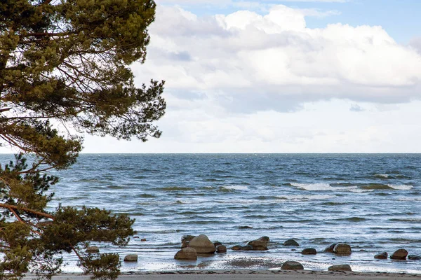 Wild Baltic Sea Latvia — Stock Photo, Image