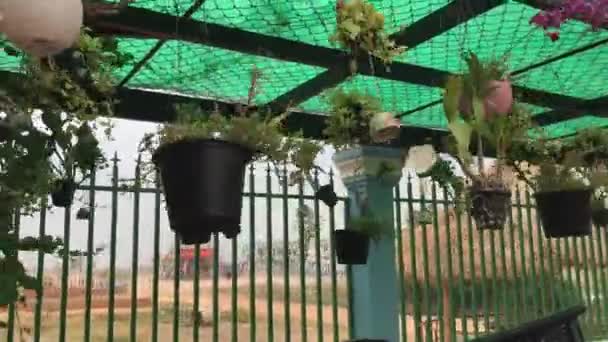 Los Jarrones Flores Que Cuelgan Jardín Frente Casa Viento — Vídeo de stock