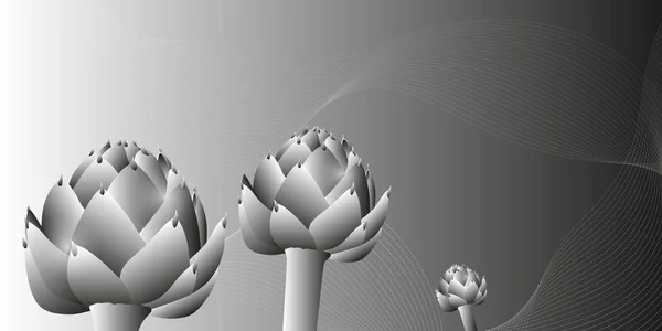 Siyah beyaz üç enginar.