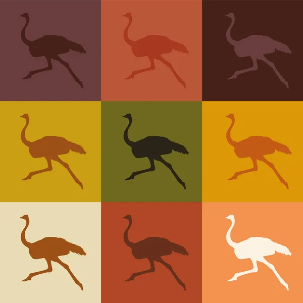 farklı arkaplanlarda farklı renklerde ayılar