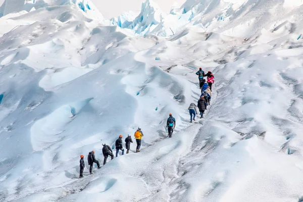 Bir grup insan, Patagonya 'daki Perito Moreno buzulunun tepesine çıkmak için sıraya girdiler.