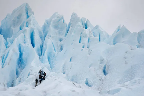 Bir grup insan, Patagonya 'daki Perito Moreno buzulunun tepesine çıkmak için sıraya girdiler.