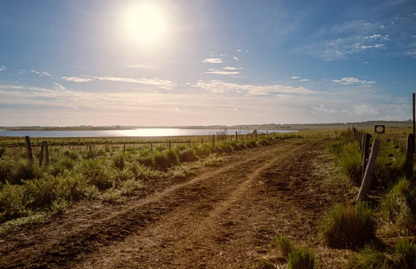 Dirt Road Surrounds Lake Field Patagonia Argentina — Photo