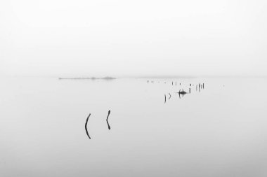 Epecun Gölü sisli bir sabahta, kuru dallar sudan sarkan