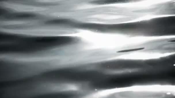 Water Surface small waves — Stock Video