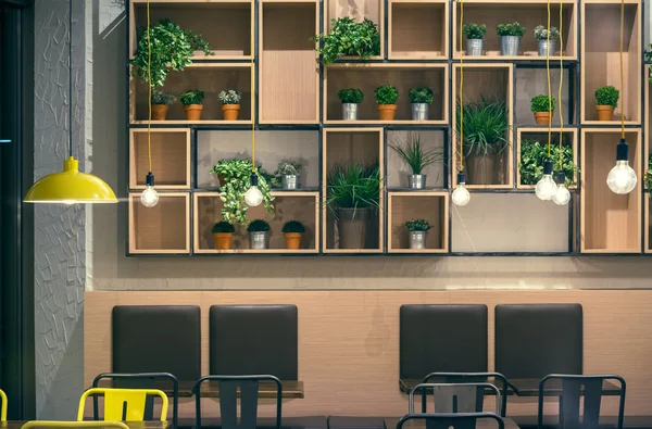 Cafe iç duvar tasarımı