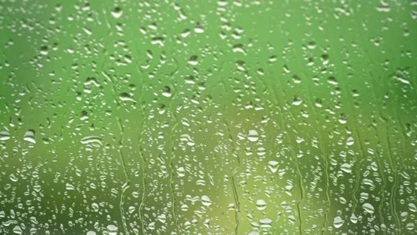 Rain Water Running Down The Glass Surface — Stock Video