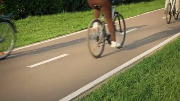 Muitas pessoas atiraram abaixo da cintura equitação bicicletas no parque — Vídeo de Stock