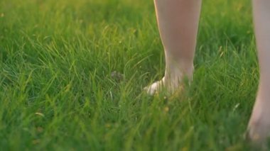 Yalınayak kadın ayak tarafından görülen sadece yeşil çimenlerin üzerinde yürüyor
