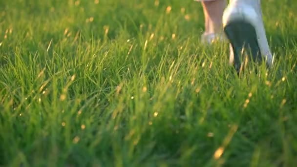 Mulher vista aos pés só caminha na grama verde — Vídeo de Stock