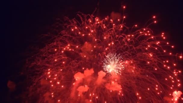 Fuegos artificiales nocturnos de color rojo — Vídeos de Stock