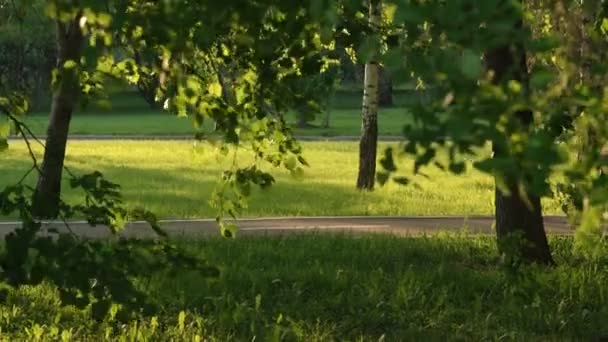 Emberek-ra kerékpárok halad az út a Park — Stock videók