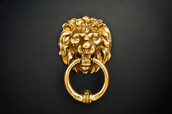 León de Oro en la Puerta — Foto de Stock