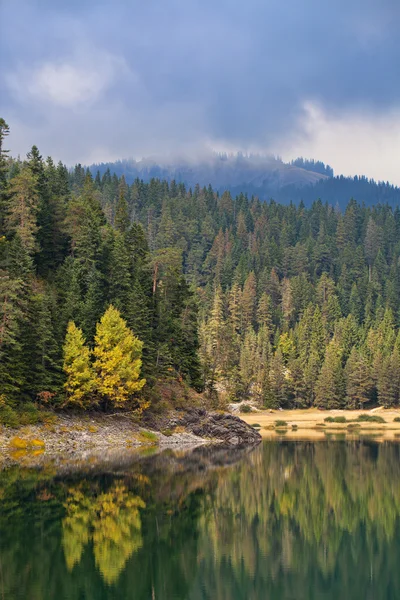 Lago dei Boschi — Foto Stock