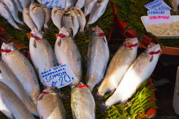 Pesce crudo sul banco del mercato — Foto Stock