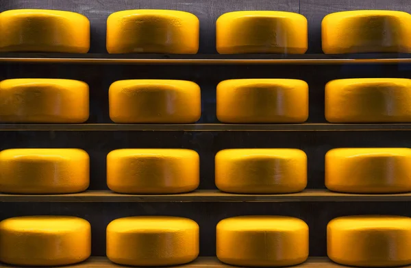 Wheels of cheese on wood shelves