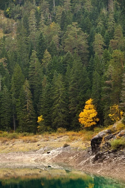 湖的树林秋天风景美丽 — 图库照片