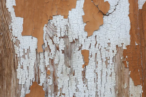 Texture of old boards white — Stock Photo, Image