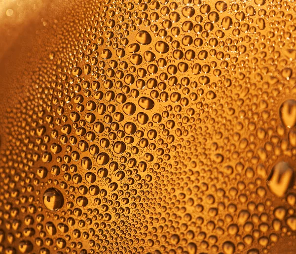 Water drops on beer background — Stock Photo, Image