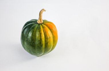 Squash