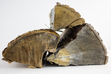 Günlük kayıtları