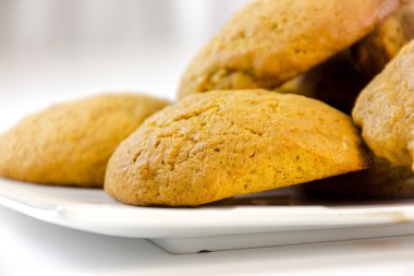 çöl, mollasse tanımlama bilgileri