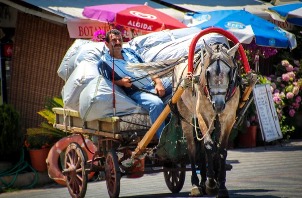 Men with is horse — Stock Photo, Image