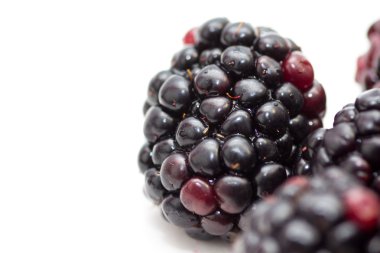 Böğürtlen kadar kapatın