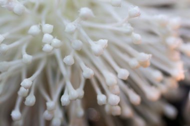 beyaz soyut arkaplan