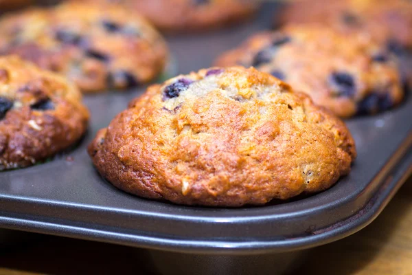 Muffins de arándanos primer plano — Foto de Stock