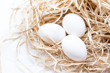Beyaz yumurta yakın çekim