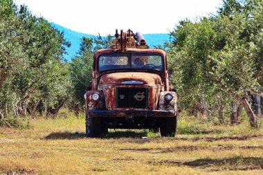 Olive Grove eski araba