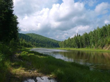 Sibirya Taiga 'da Sukhoi Pit nehri. Güneşli Ağustos günü. Yeniseisk yakınlarındaki Krasnoyarsk bölgesinde..