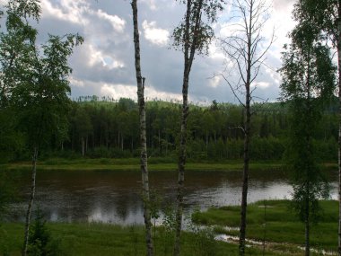 Yağmurdan sonra Sibirya Taiga 'da Sukhoy Pit nehri. Krasnoyarsk Bölgesi, Yeniseisk şehri yakınlarında..