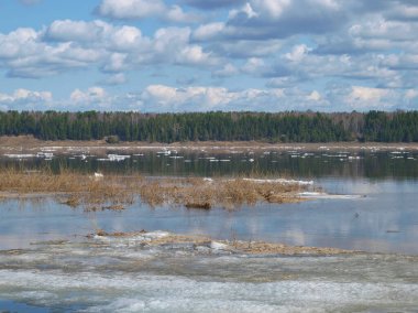 Bahar. Yüksek su. Sibirya nehri Yenisei 'ye buz akıntısı. Nisan. Krasnoyarsk bölgesi. Rusya.