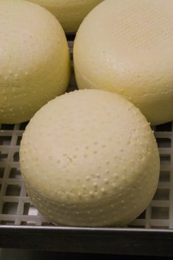  Pecorino peyniri fabrika