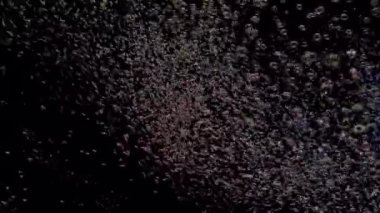 Karanlık Arkaplan akış halkalarına sahip parçacık kabarcığı