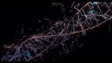 DNA Dinamik Döndürme Renkli Parçacıklar
