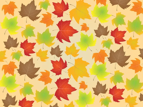 Fond Automne Avec Des Feuilles Érable Colorées Feuille Tombe Sur — Image vectorielle