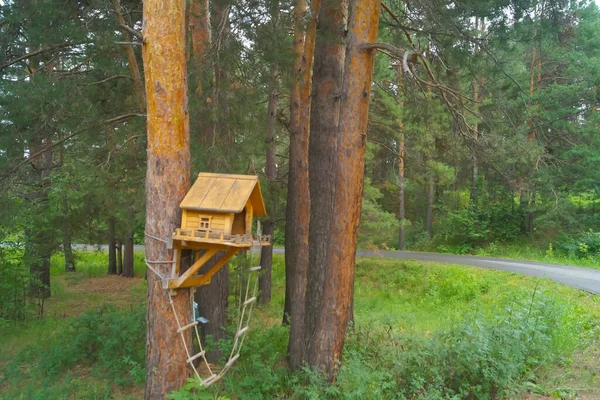 Van Egy Kis Állatház Erdőben Egy Fán — Stock Fotó
