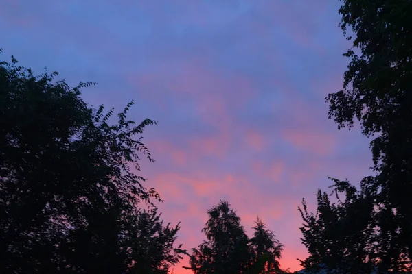 Wipfel Dunkler Baumsilhouetten Feuern Wolken Gegen Blauen Himmel — Stockfoto